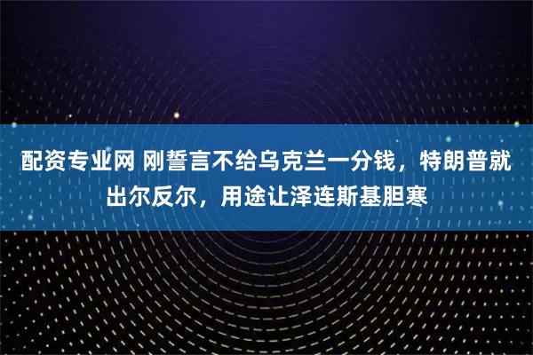 配资专业网 刚誓言不给乌克兰一分钱，特朗普就出尔反尔，用途让泽连斯基胆寒