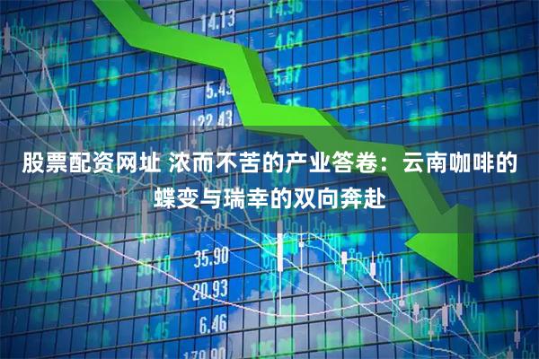 股票配资网址 浓而不苦的产业答卷：云南咖啡的蝶变与瑞幸的双向奔赴